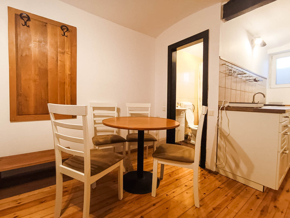 Studio de inchiriat pe strada Castanilor, pet friendly