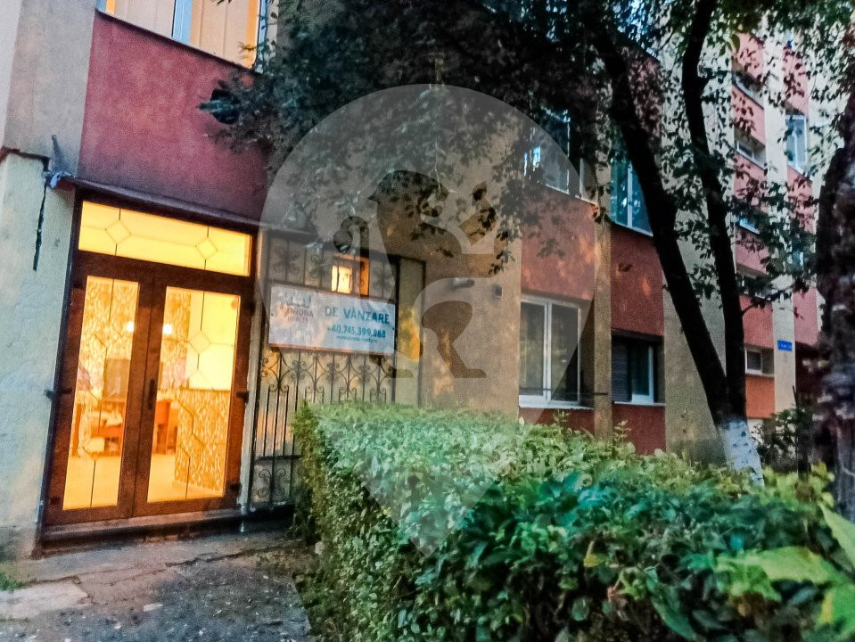 Garsoniera de vanzare pe Alexandru cel bun 19