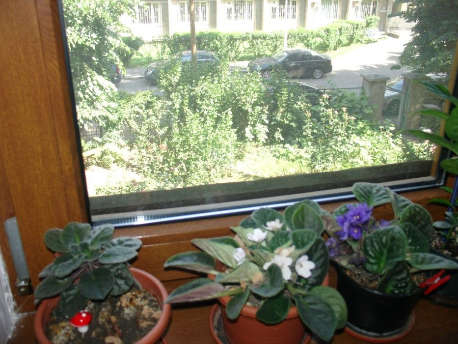 Apartament 2 camere de închiriat | 55 mp utili | GROZAVESTI