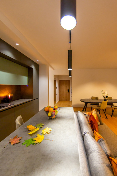 Apartament 3 camere Premium  Centru istoric - Complex Cuza 16