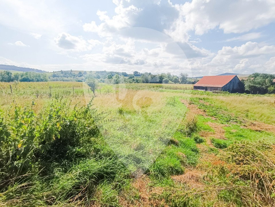 Oportunitate de investitie! Casa de vanzare in satul Palos
