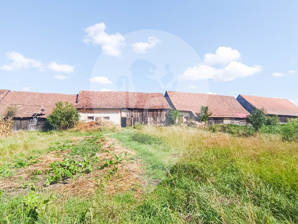 Oportunitate de investitie! Casa de vanzare in satul Palos