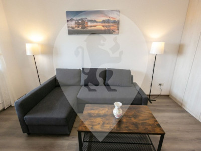 Garsoniera | Trinity - ANL Brancusi | Centrala proprie